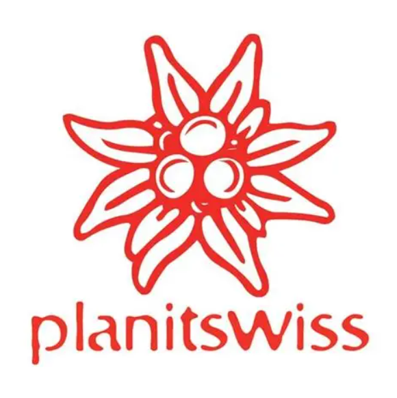 Planit Swiss logo